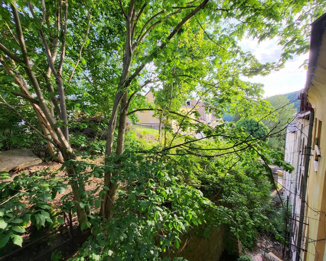 Excellent Apartments In Spa City Center 5 Min Walk From The Colonnade Karlsbad Exteriör bild